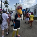 Scully the Mascot